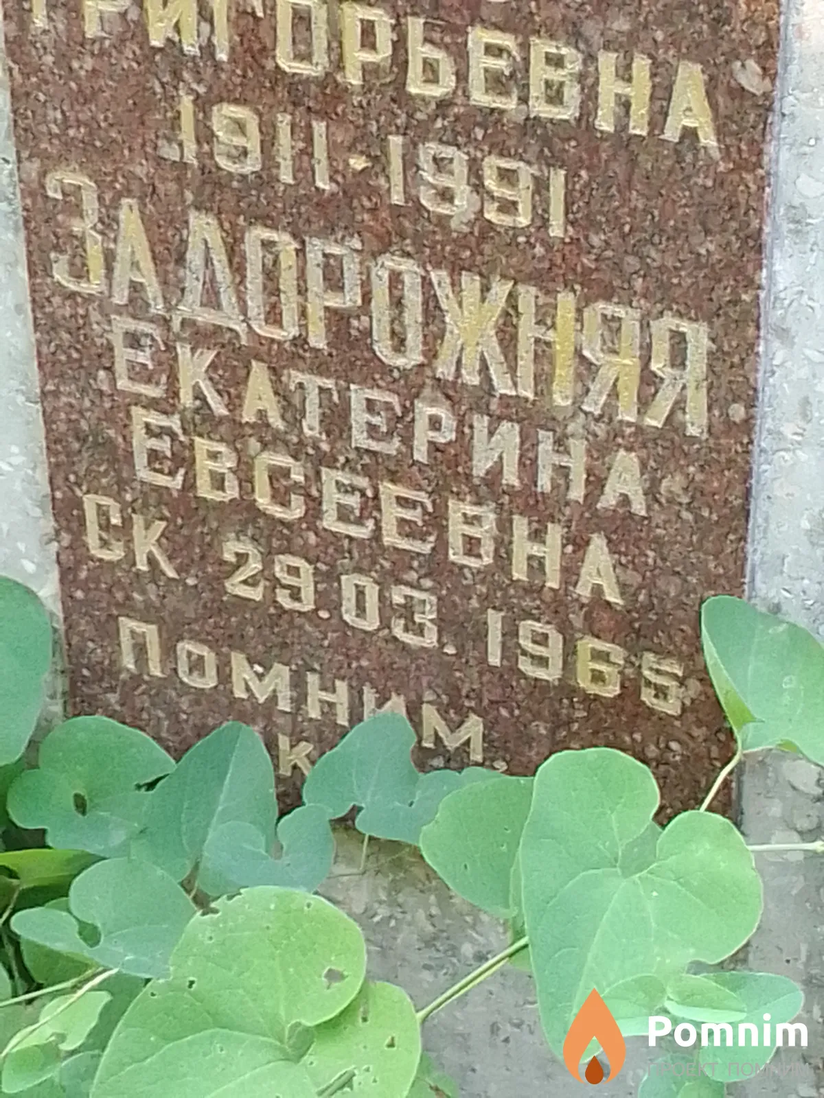 Задорожняя Екатерина Евсеевна