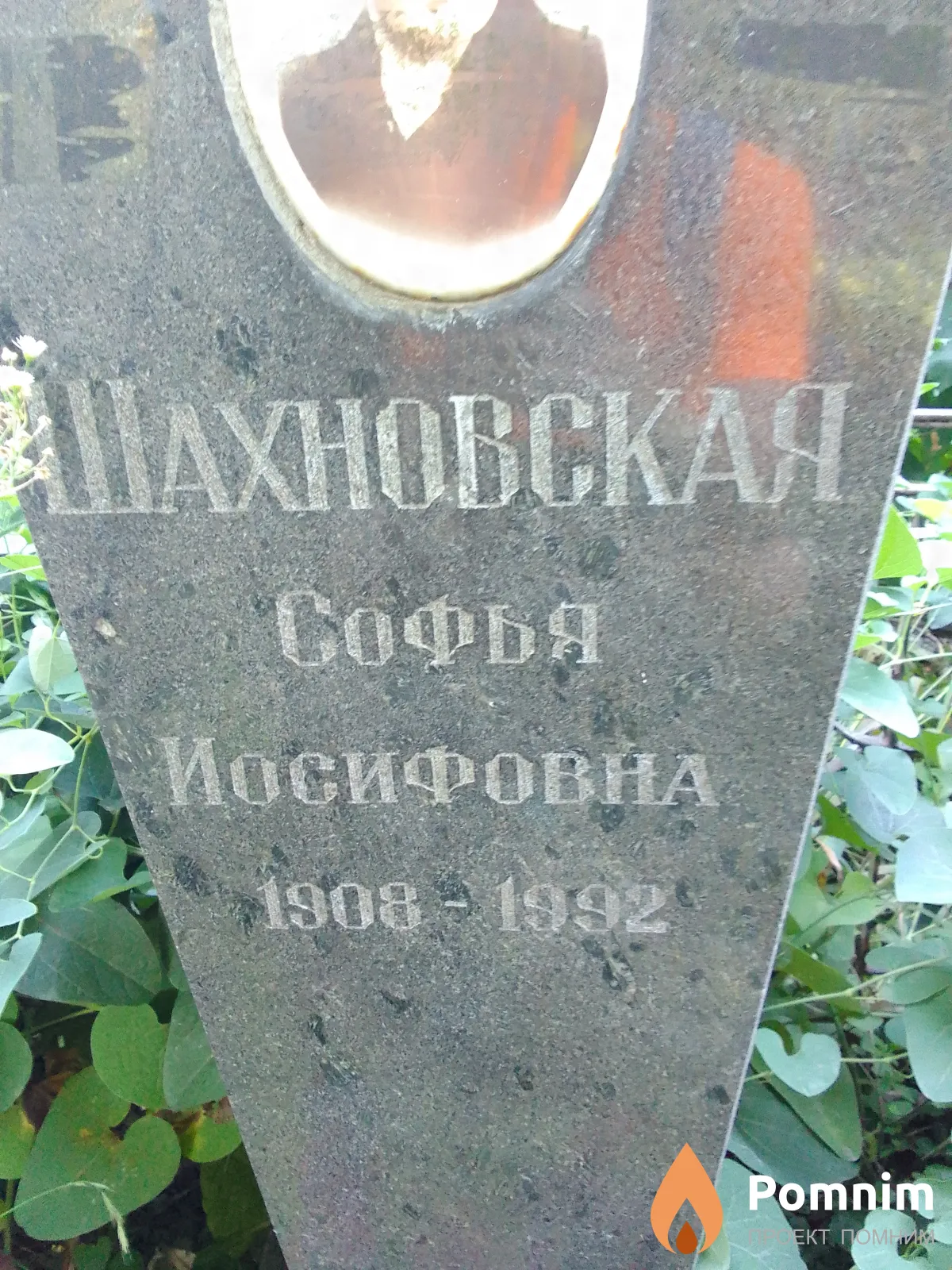 Шахновская София Иосифовна