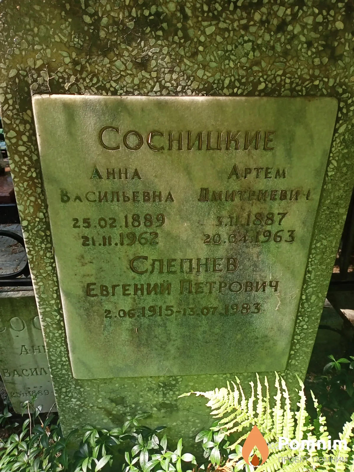 Сосницкая Анна Васильевна