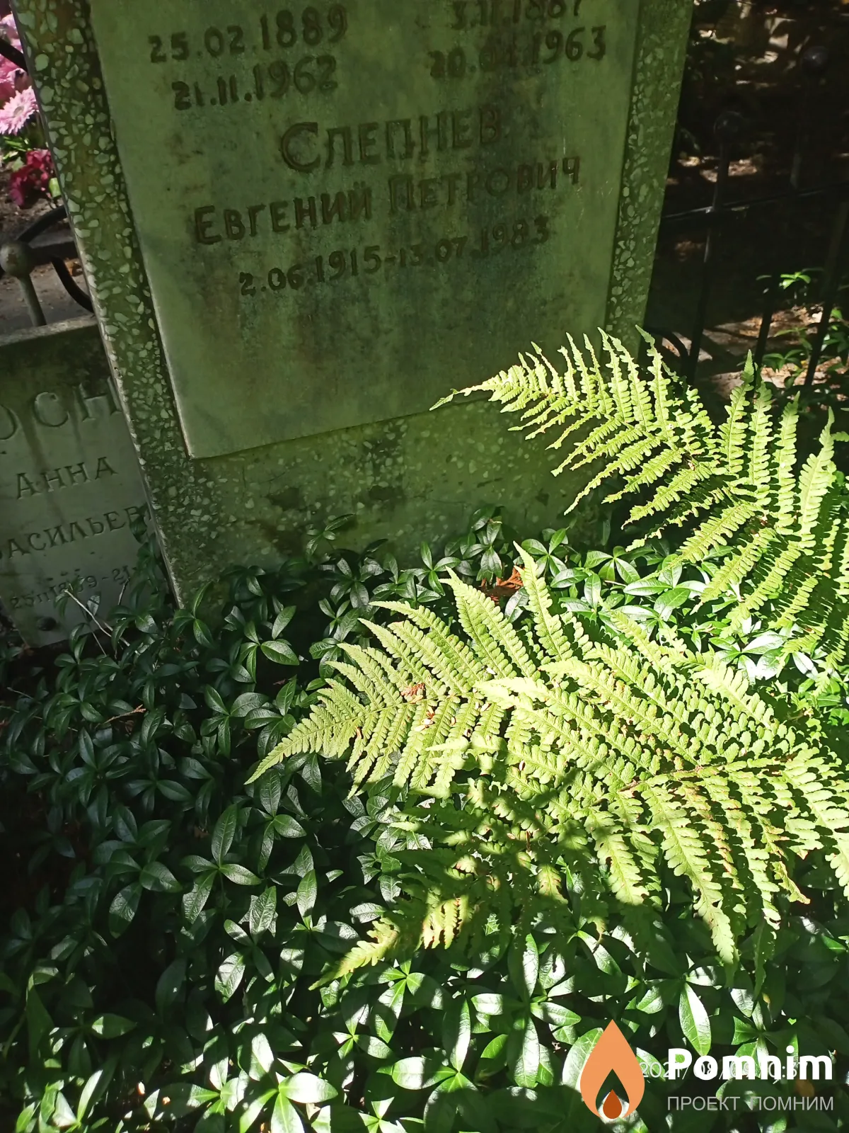 Слепнев Евгений Петрович