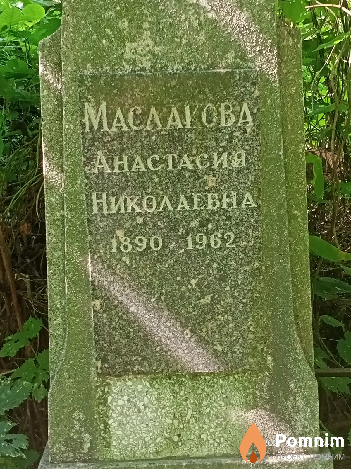 Маслакова Анастасия Николаевна