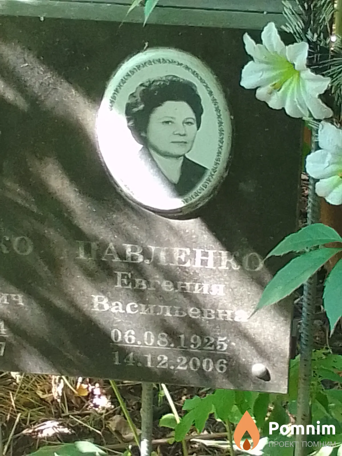 Павленко Евгения Васильевна
