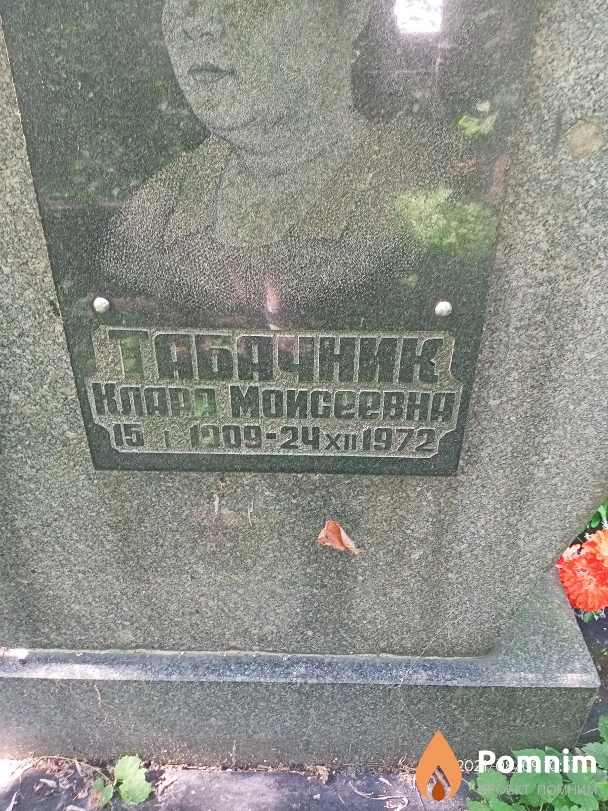 Табачник Клара Моисеевна