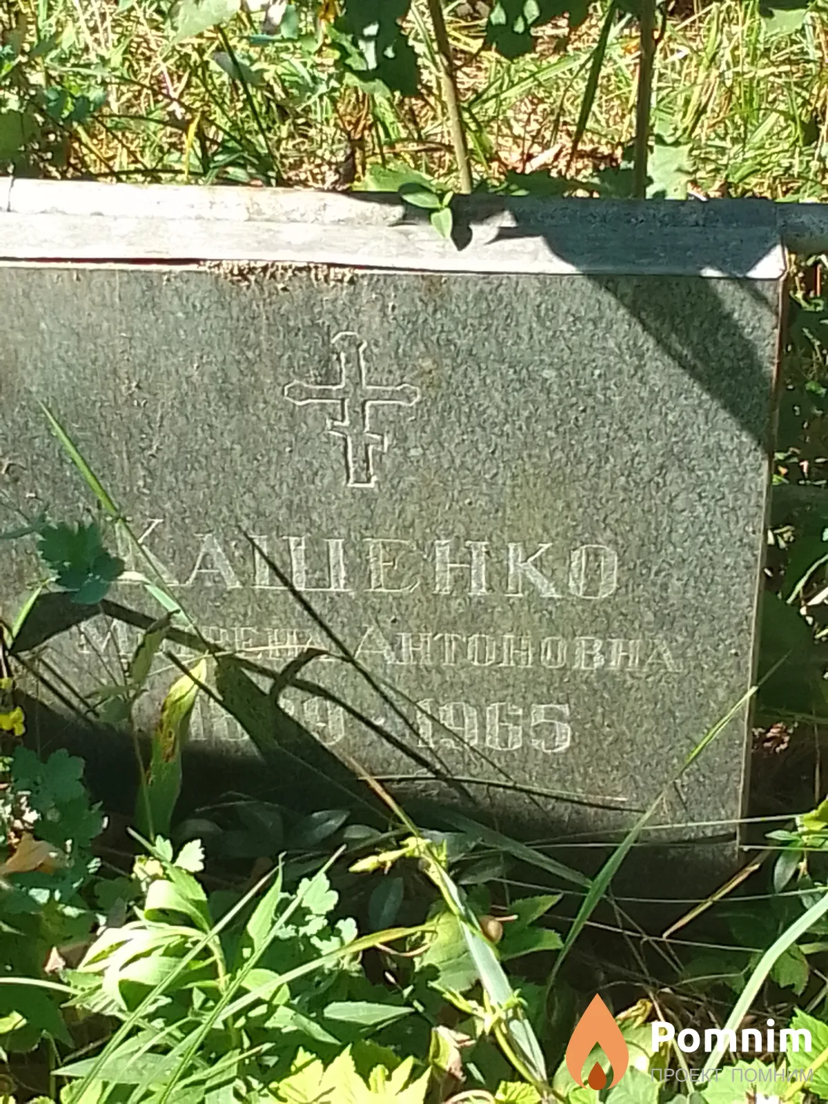 Кащенко Мотвена Антоновна