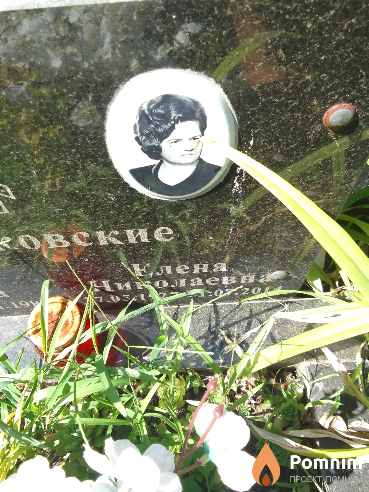 Клочковская Елена Николаевна
