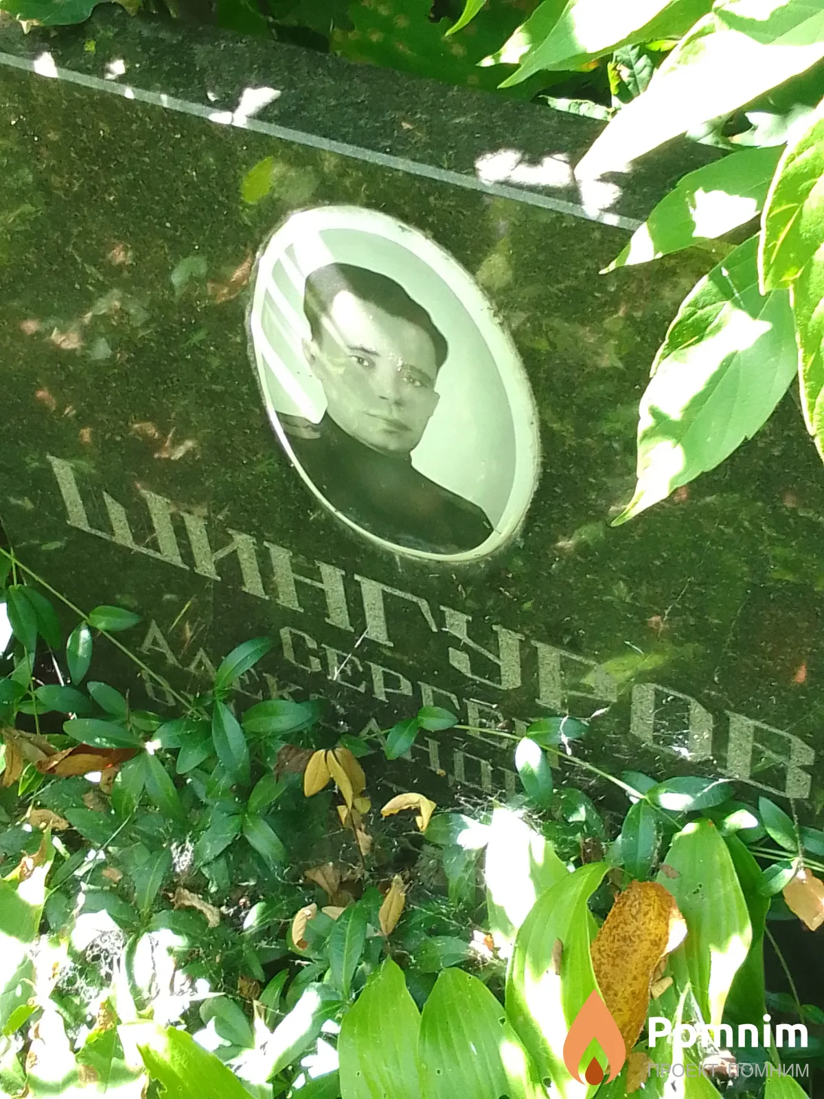 Шингуров Сергей Александрович