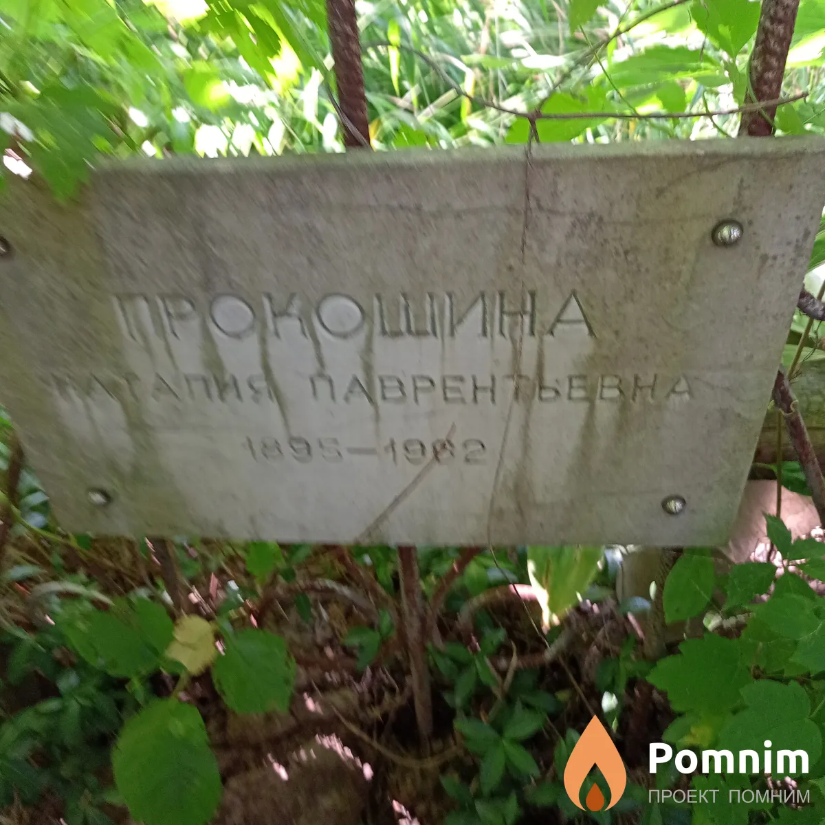 Прокошина Наталия Лаврентьевна