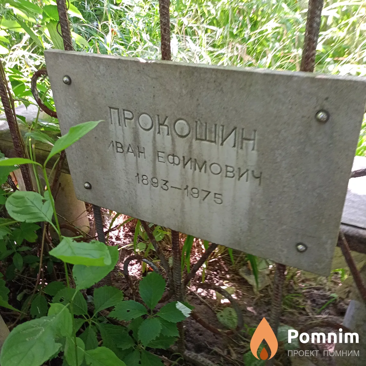 Прокошнин Иван Ефимович