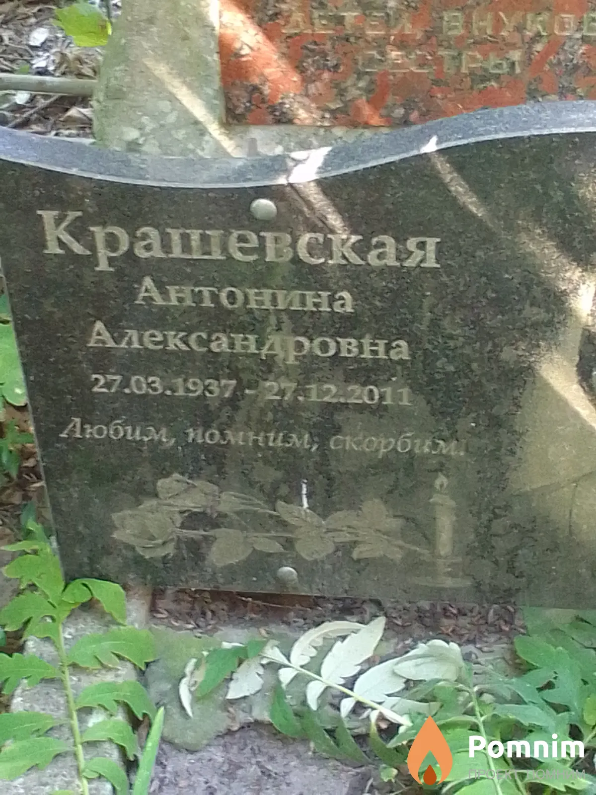 Крашевская Антонина Александровна