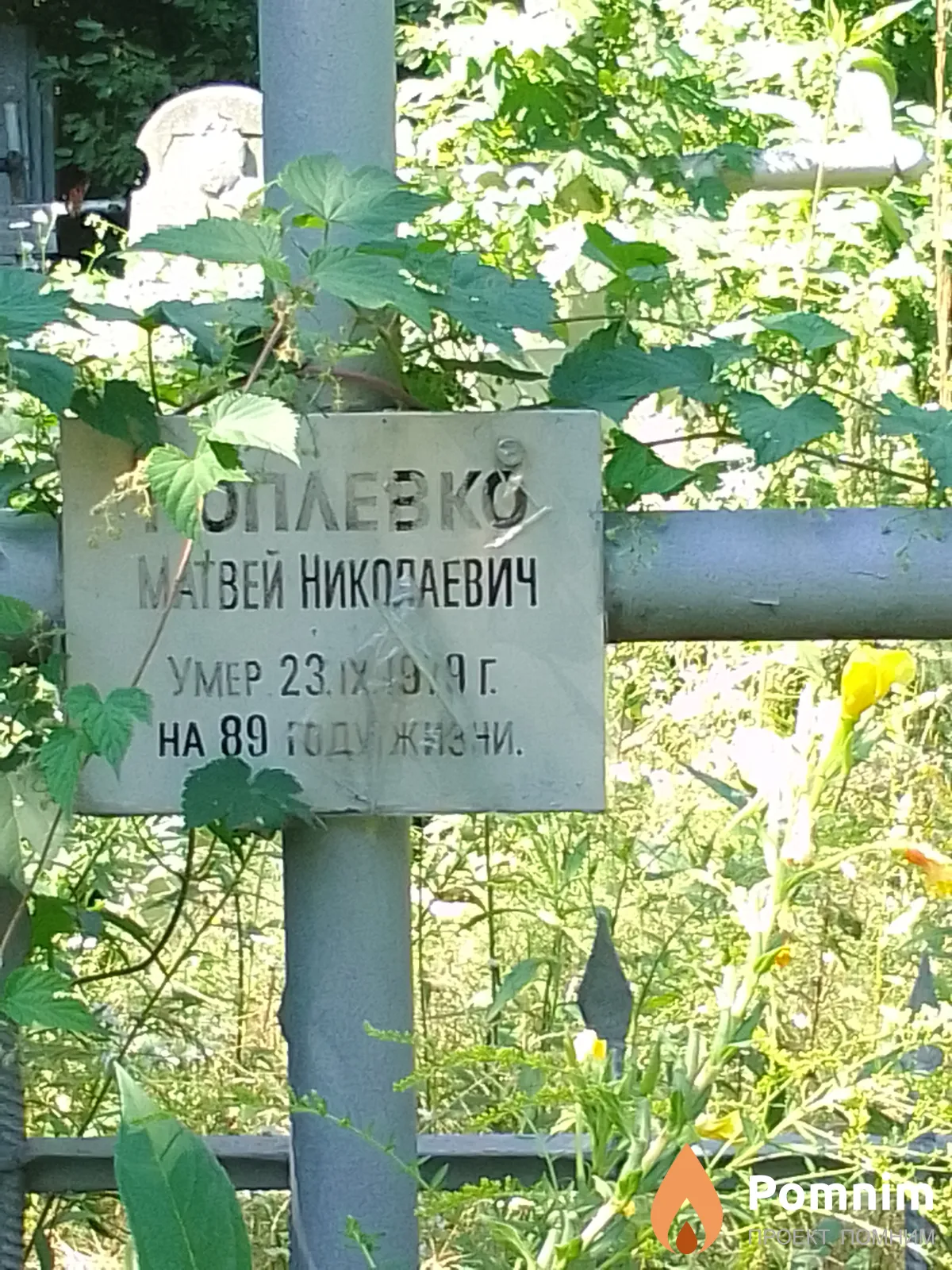 Поплевко Матвей Николаевич