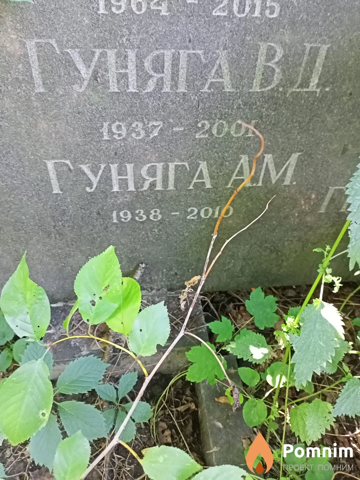 Гуняга В. Д.