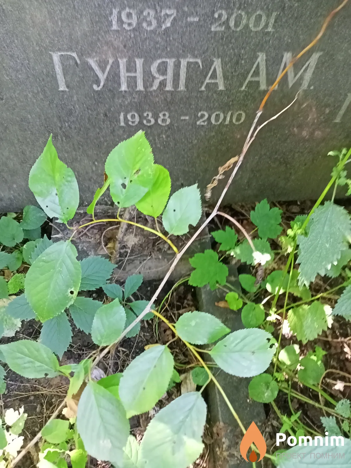 Гуняга А. М.