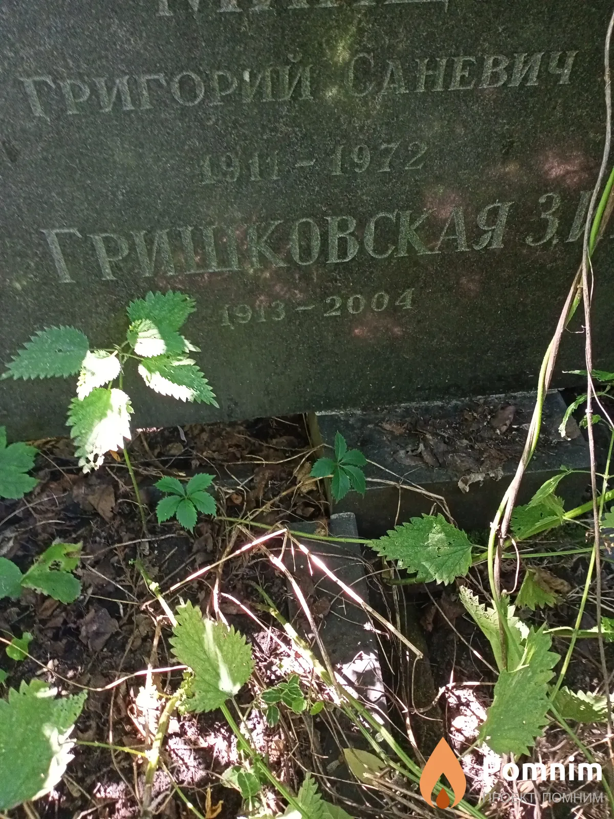 Гришковская З. И.
