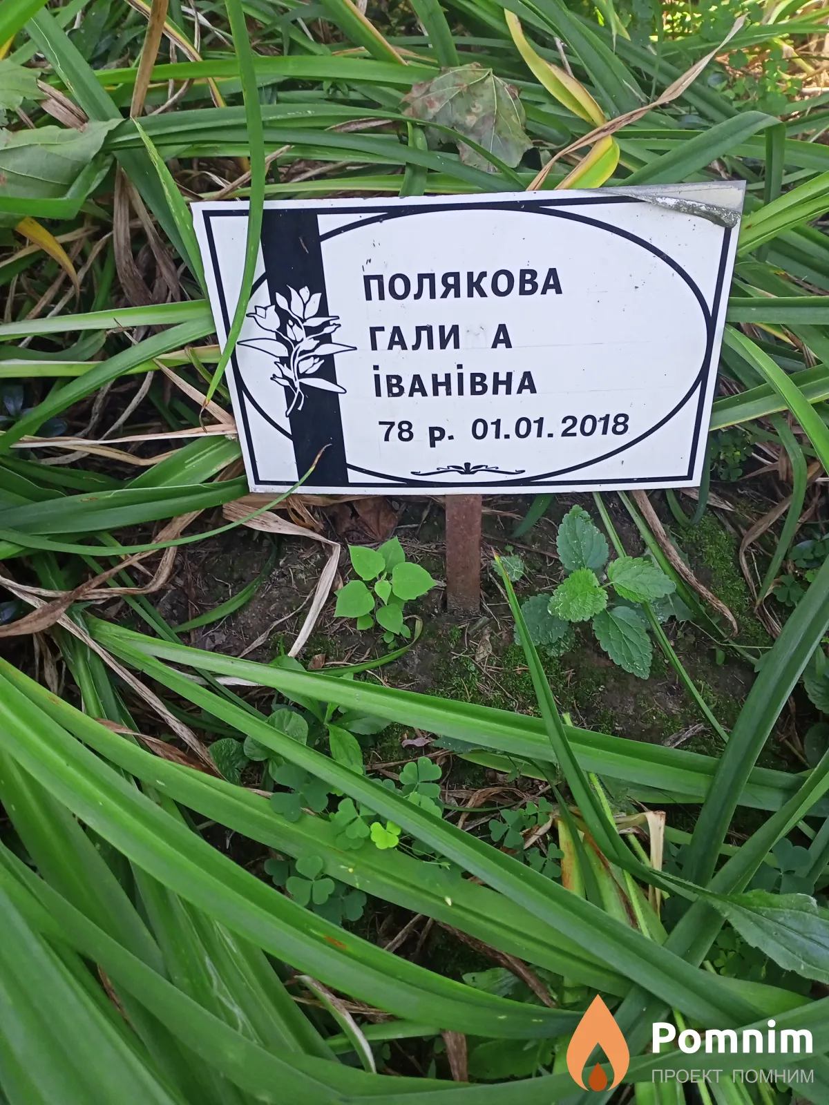 Полякова Галина Ивановна