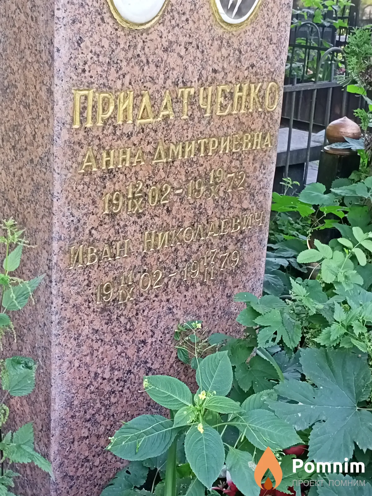 Придатченко Анна Дмитриевна