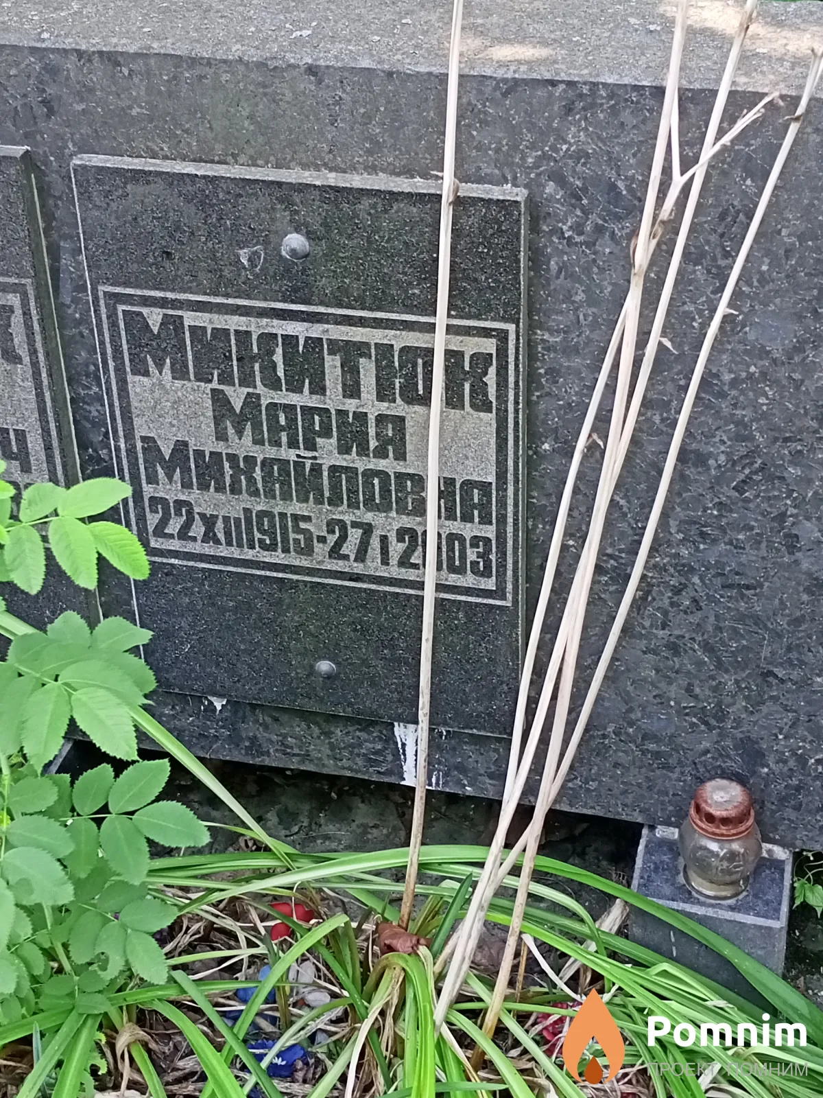 Никитюк Мария Михайловна