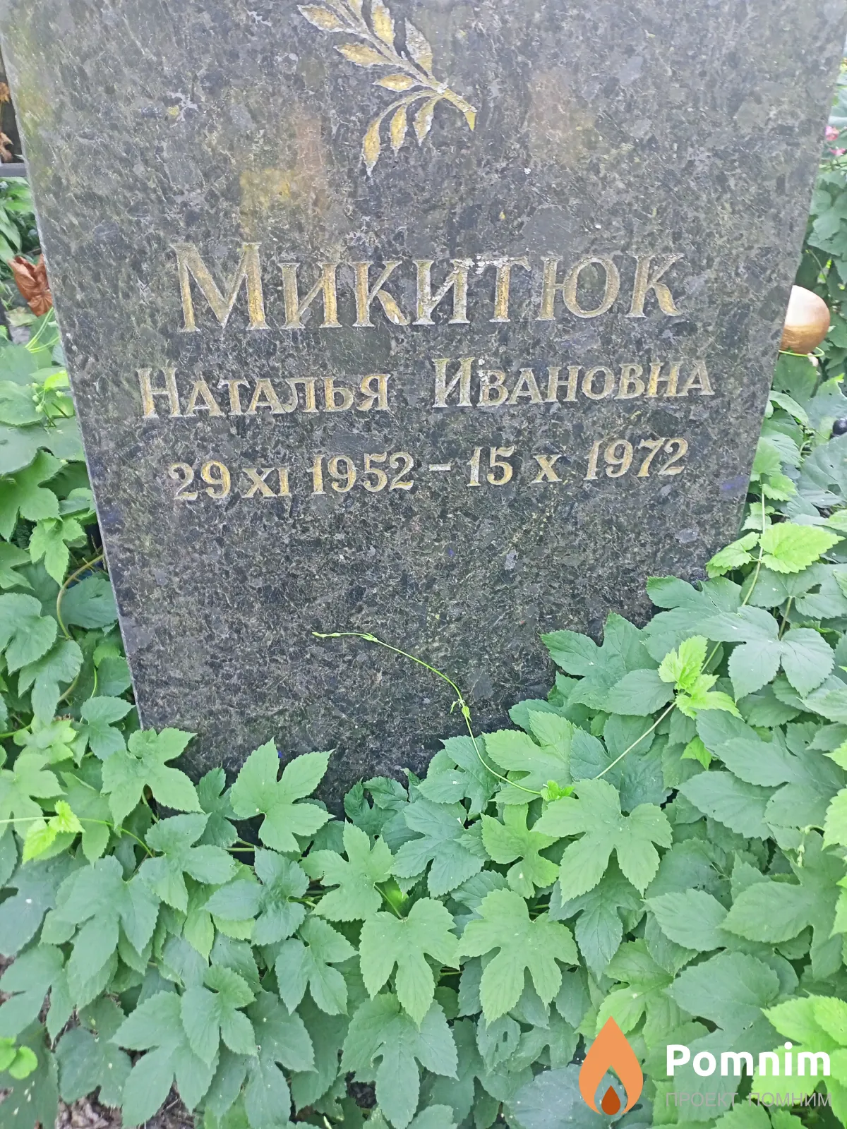 Микиток Наталья Ивановна