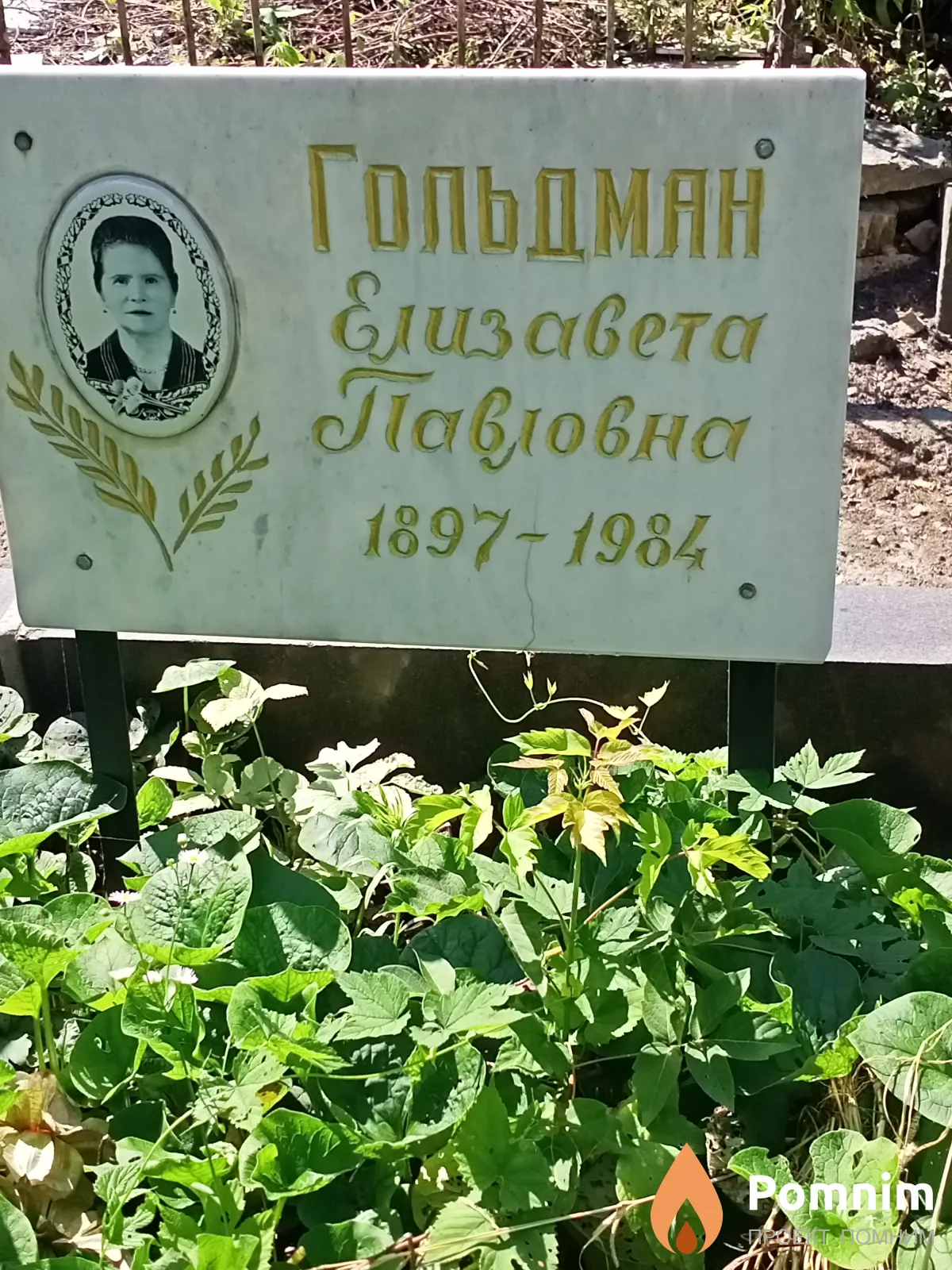 Гольдман Елизавета Павловна