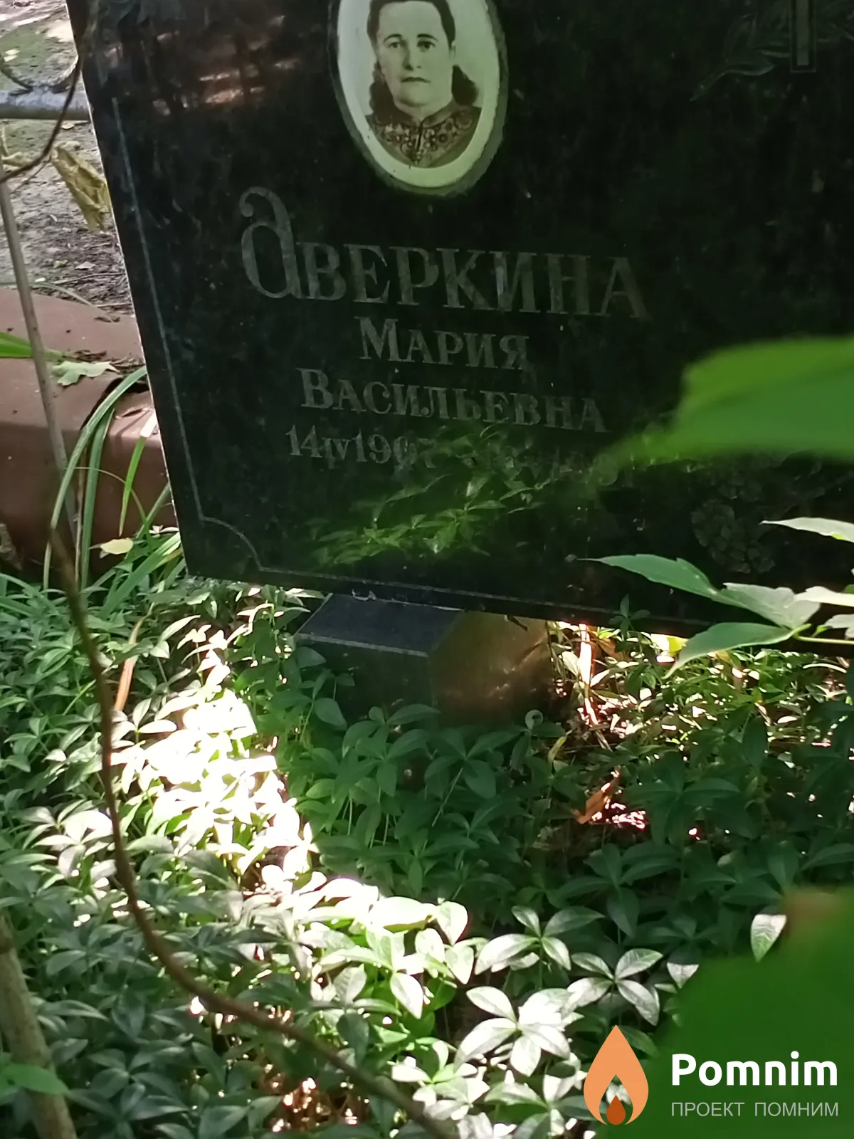 Дверкина Мария Васильевна
