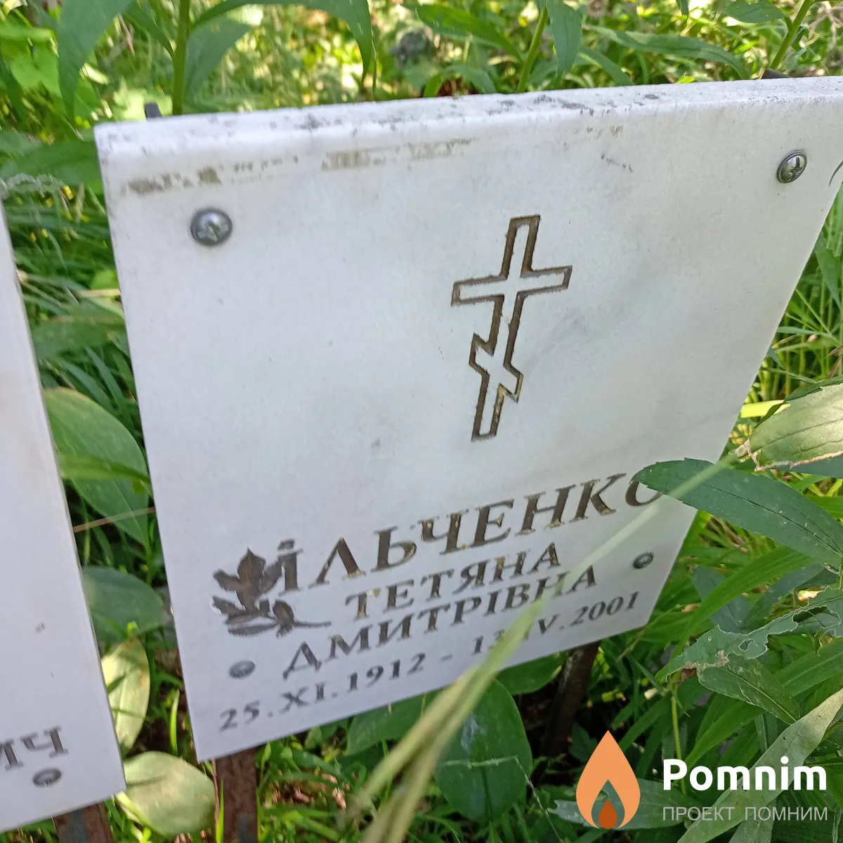 Ильчекно Татьяна Дмитриевна