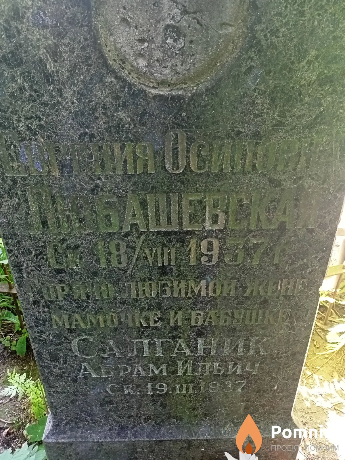 Любашевская Евгения Осиповна