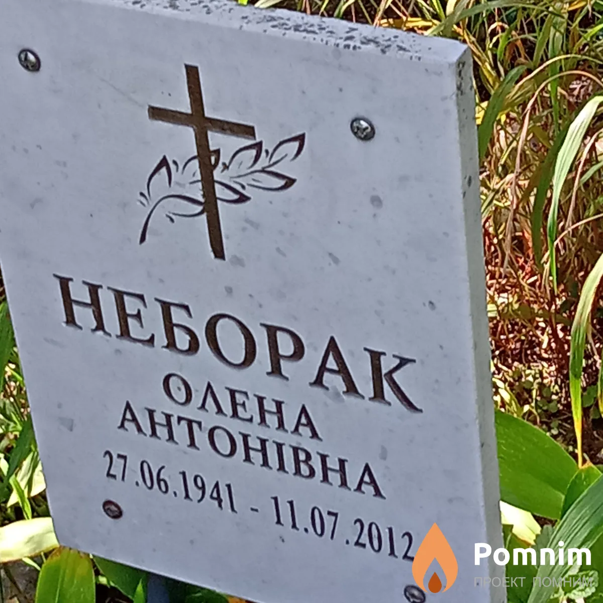 Неборак Олена Антонівна