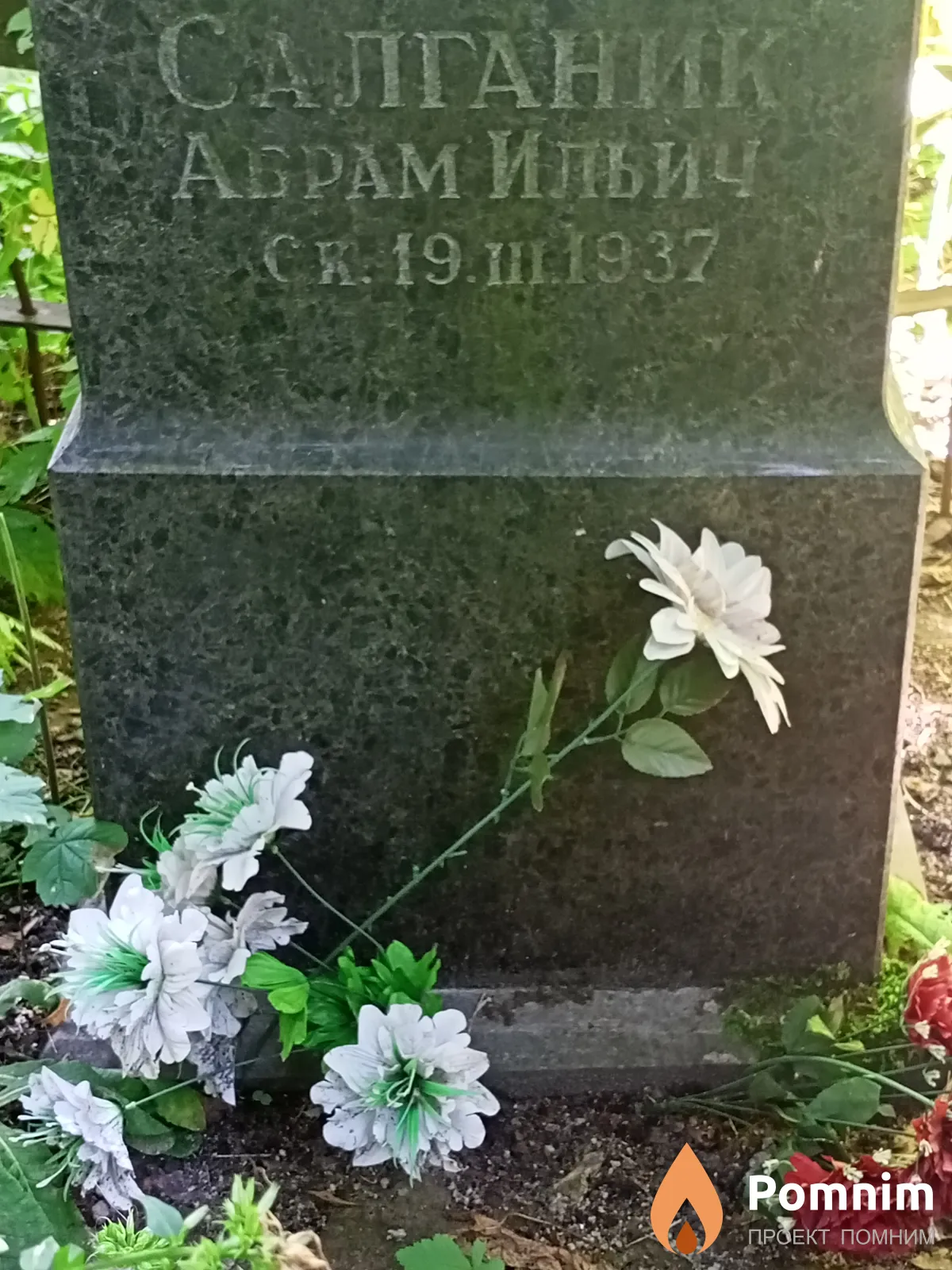 Салганик Абрам Ильич