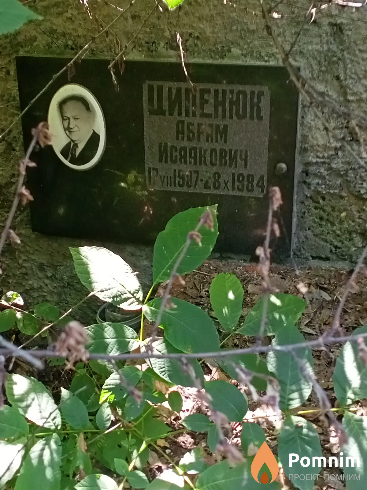 Ципенюк Абрам Исакович