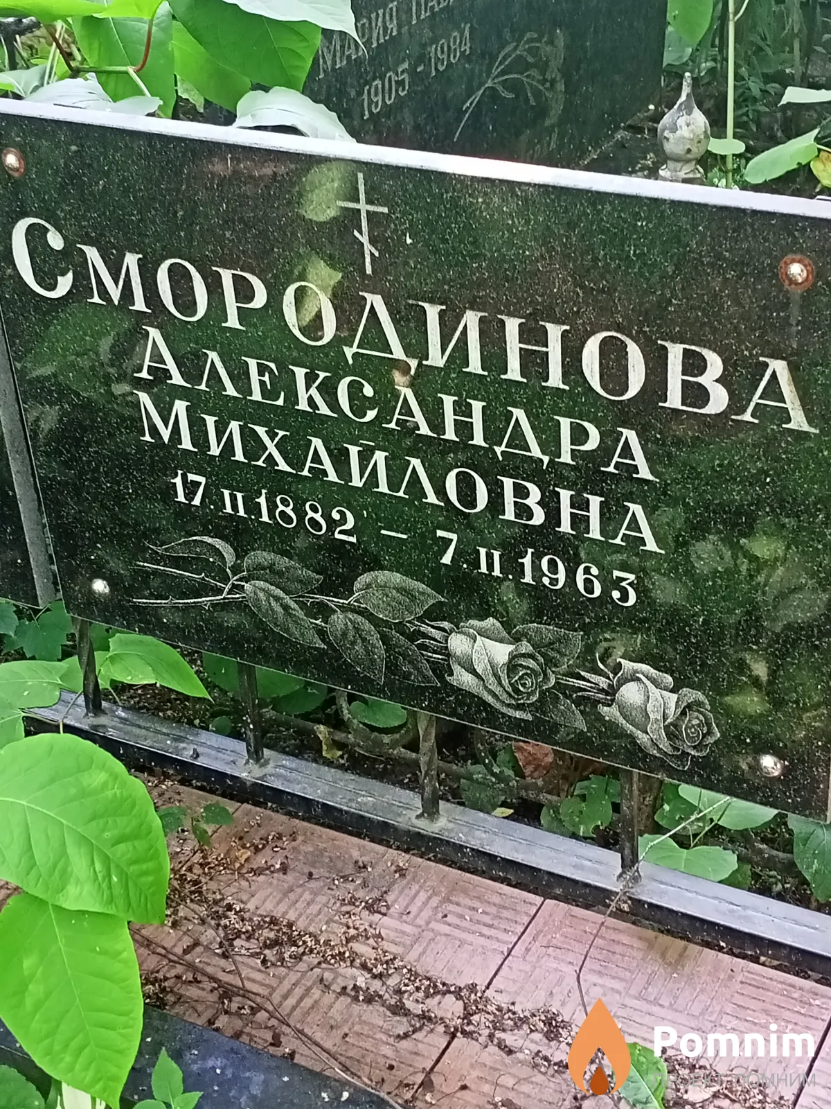 Смородинова Александра Михайловна