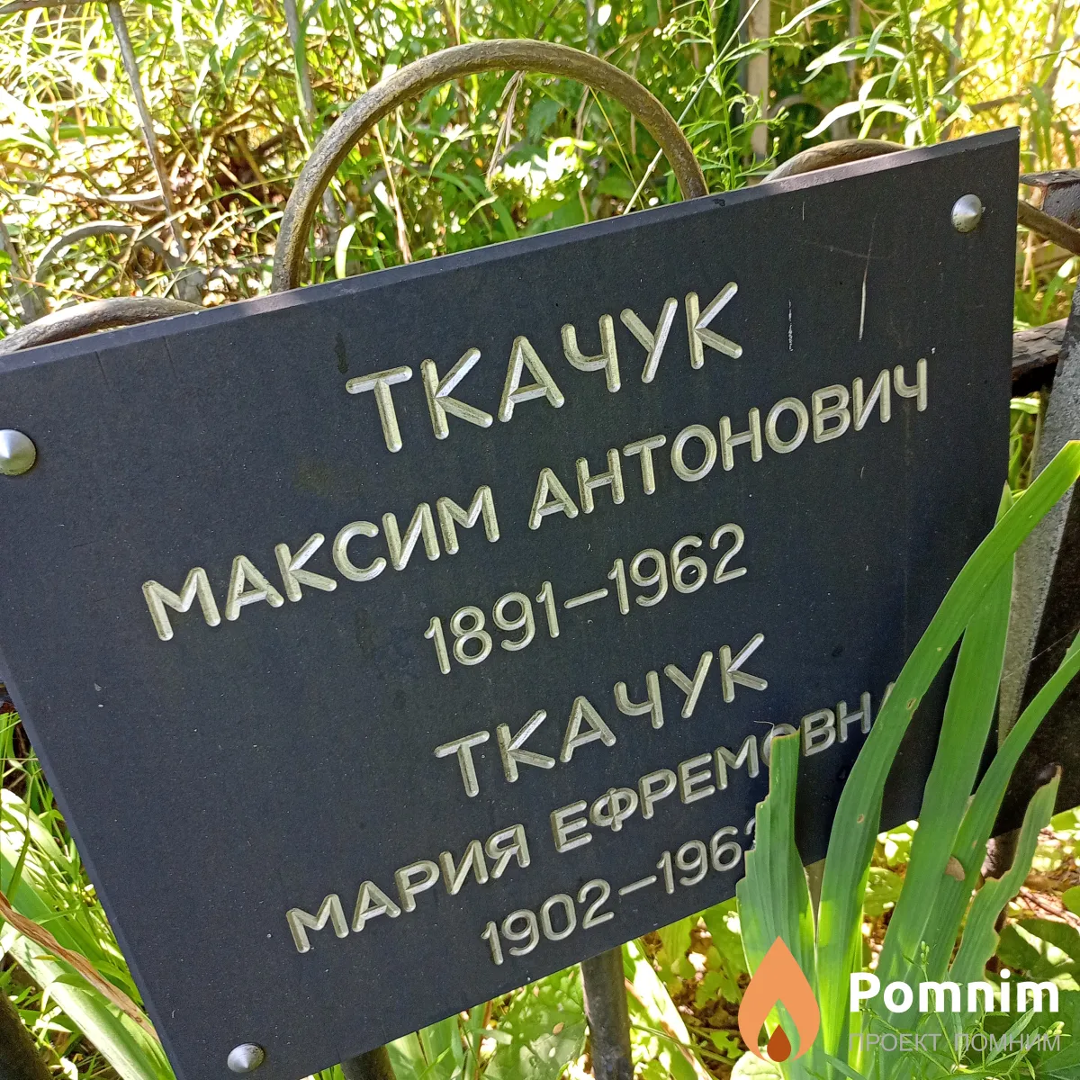 Ткачук Максим Антонович