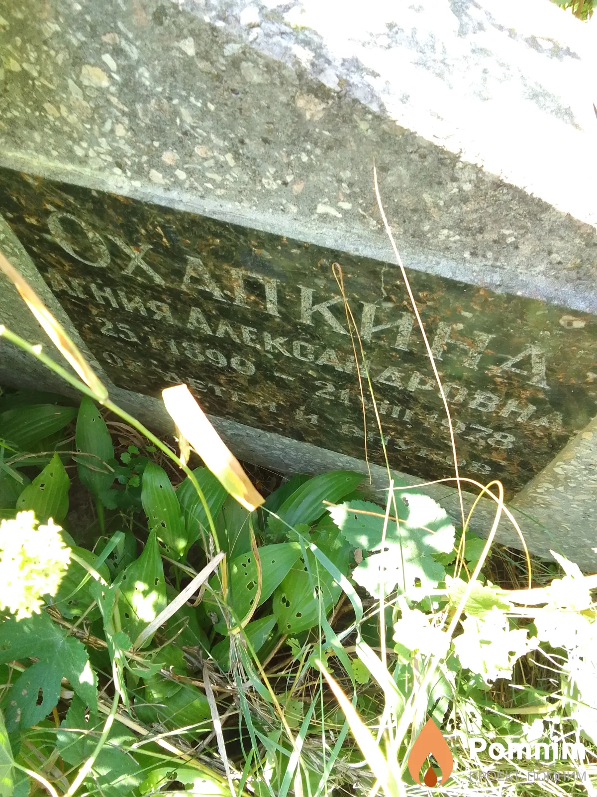 Охапкина Агния Александровна