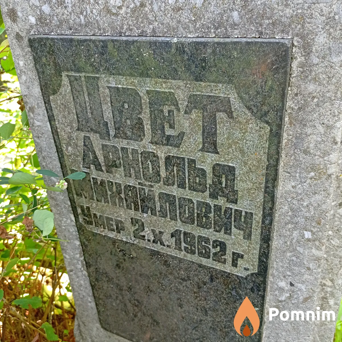 Цвет Арнольд Михайлович