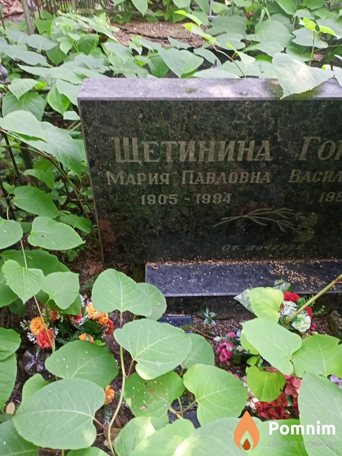 Щетинина Мария Павловна