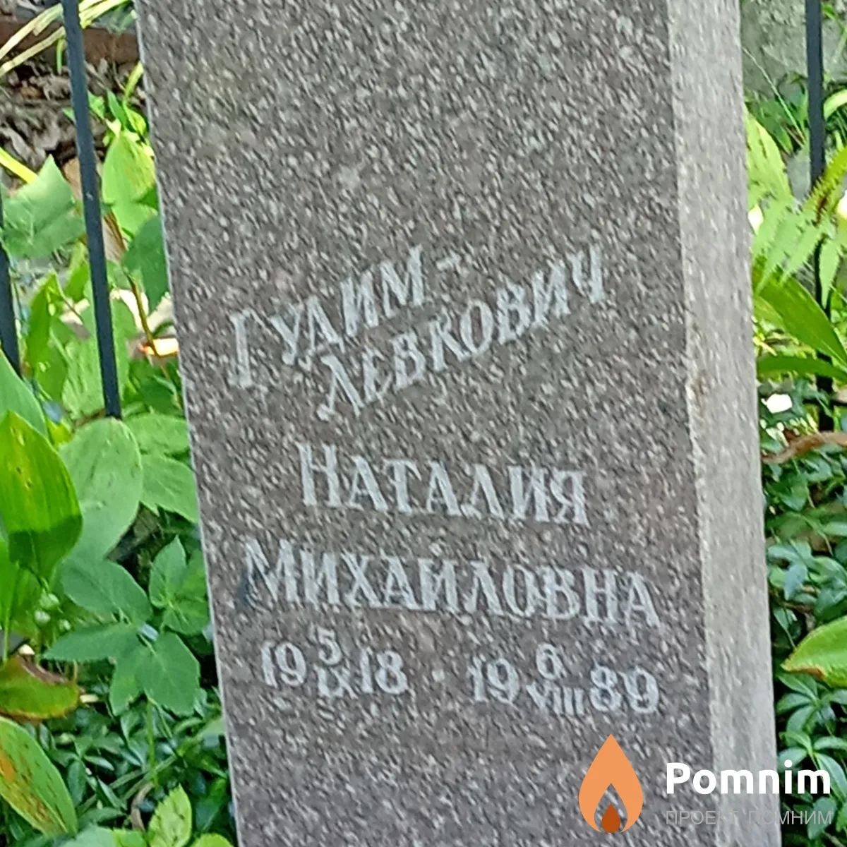 Гудим-Левкович Наталия Михайловна