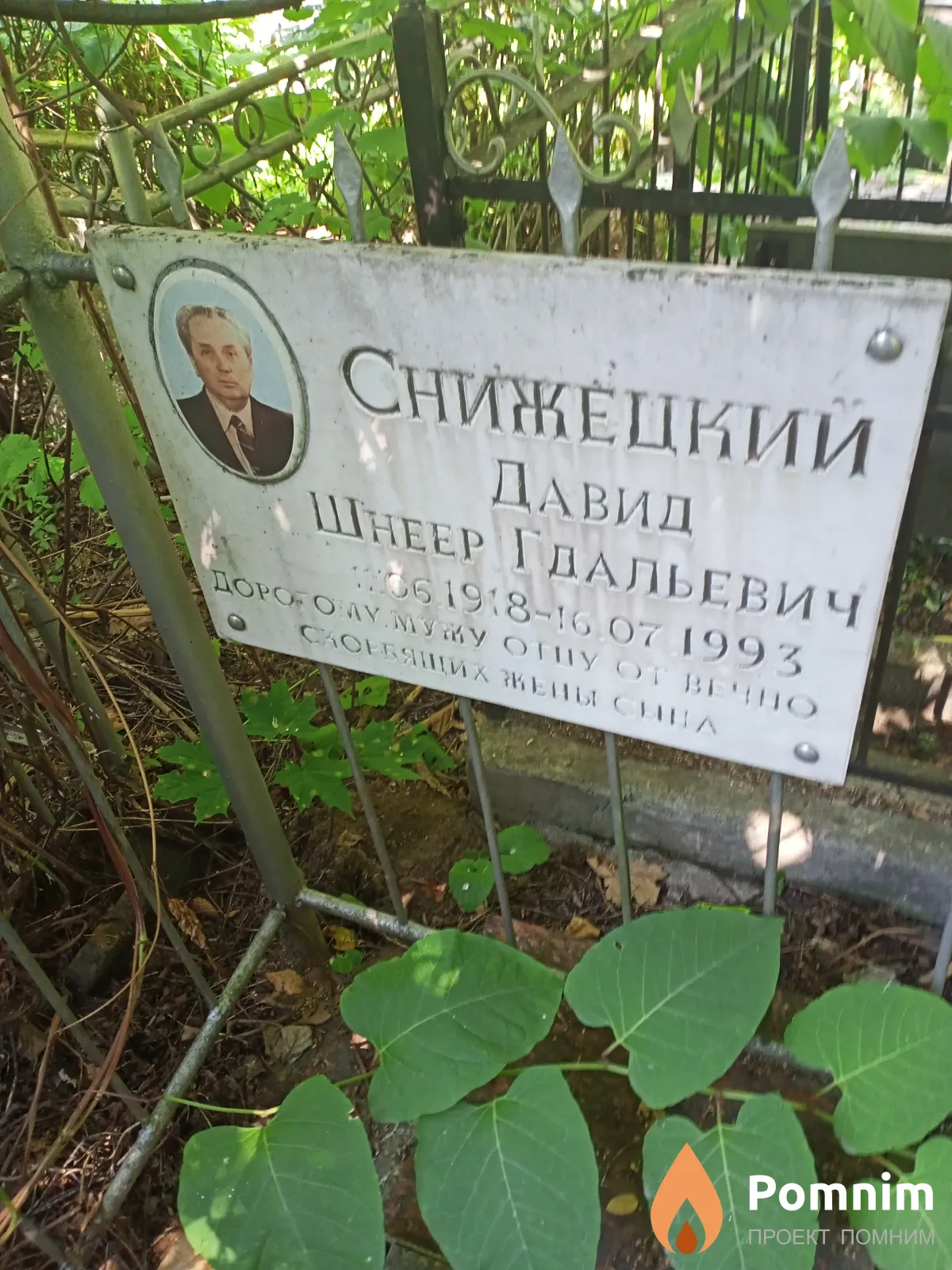 Снижецкий Давид