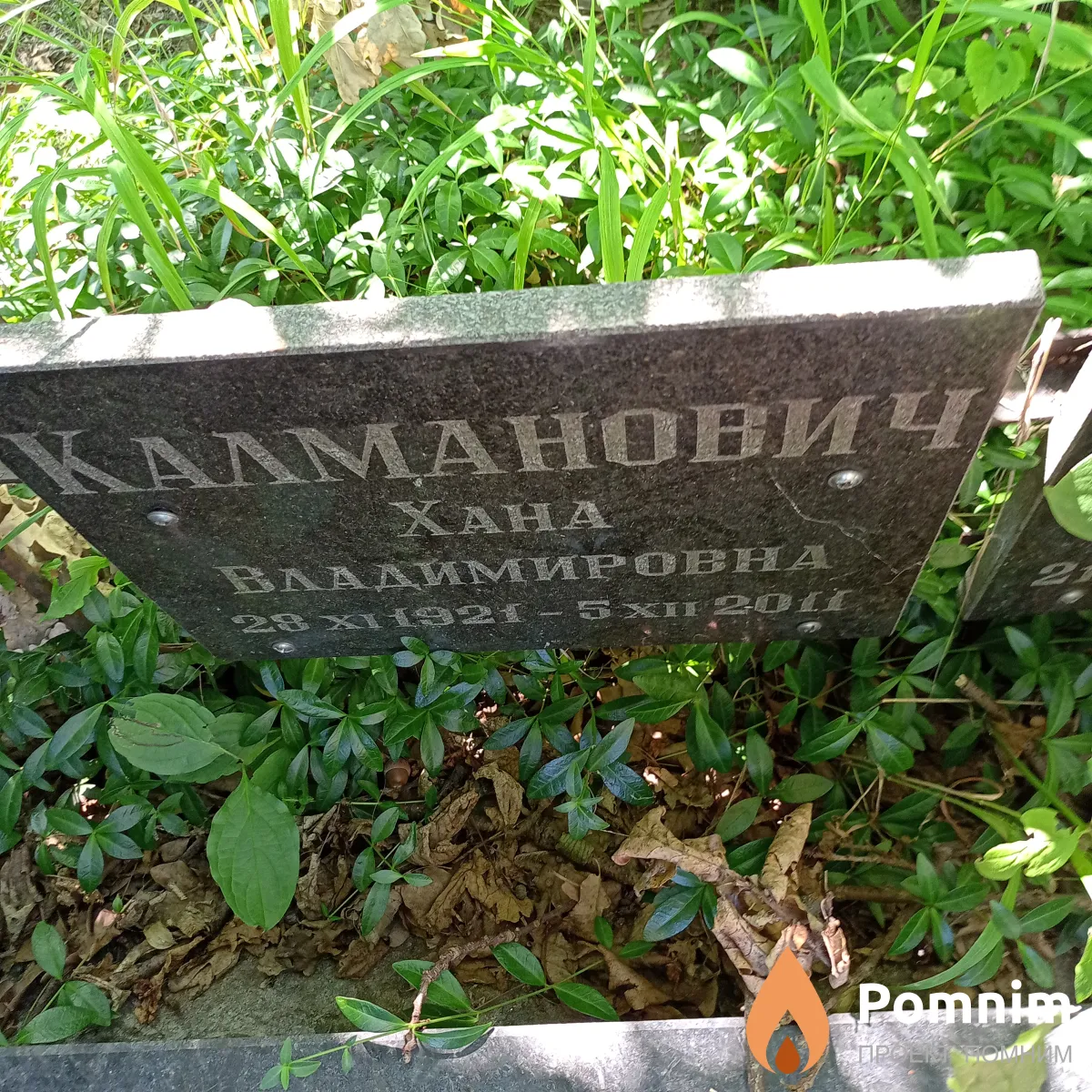 Калманович Хана Владимировна