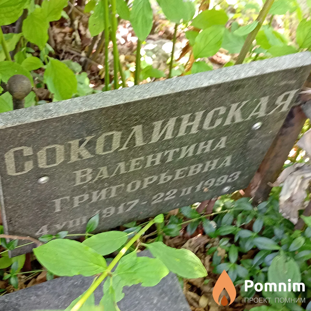 Соколинсккя Валентина Григорьевна
