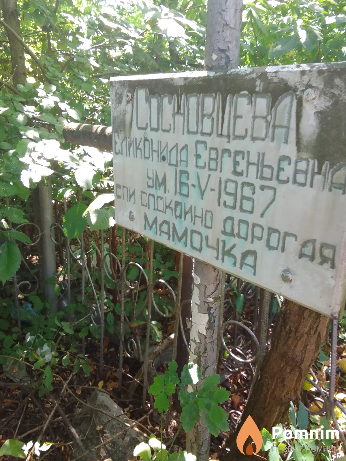 Сосновцева Еликонида Евгеньевна