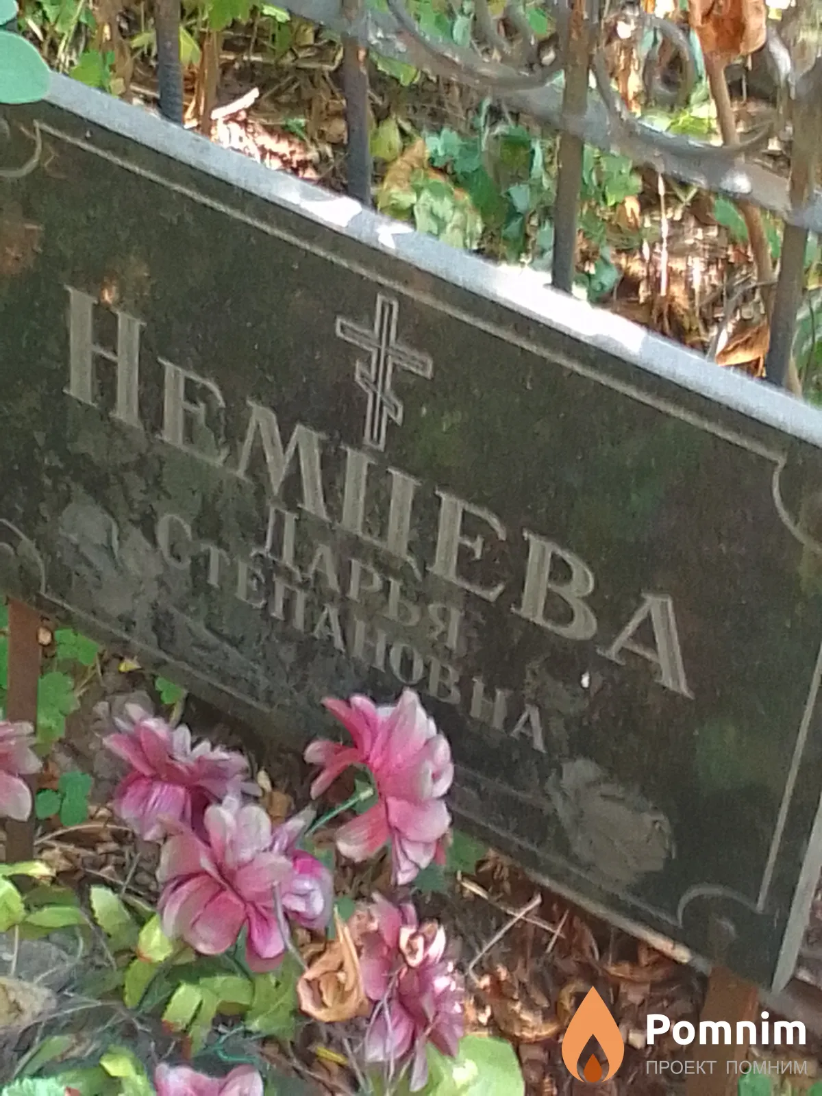 Немцева Дарья Степановна
