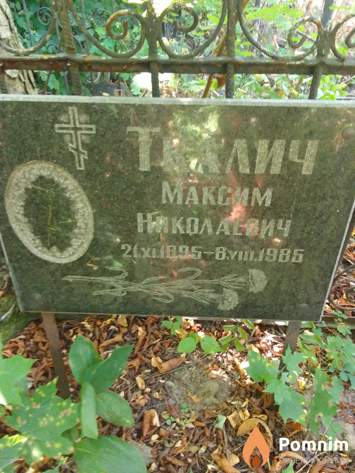 Ткалич Максим Николаевич