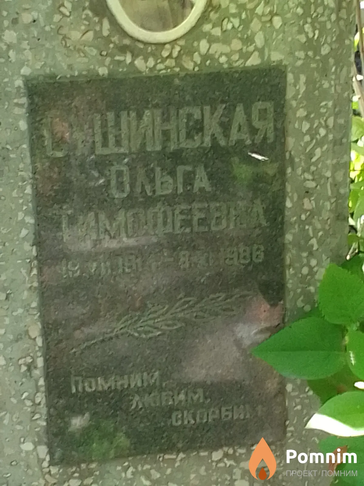 Сушинская Ольга Тимофеевна