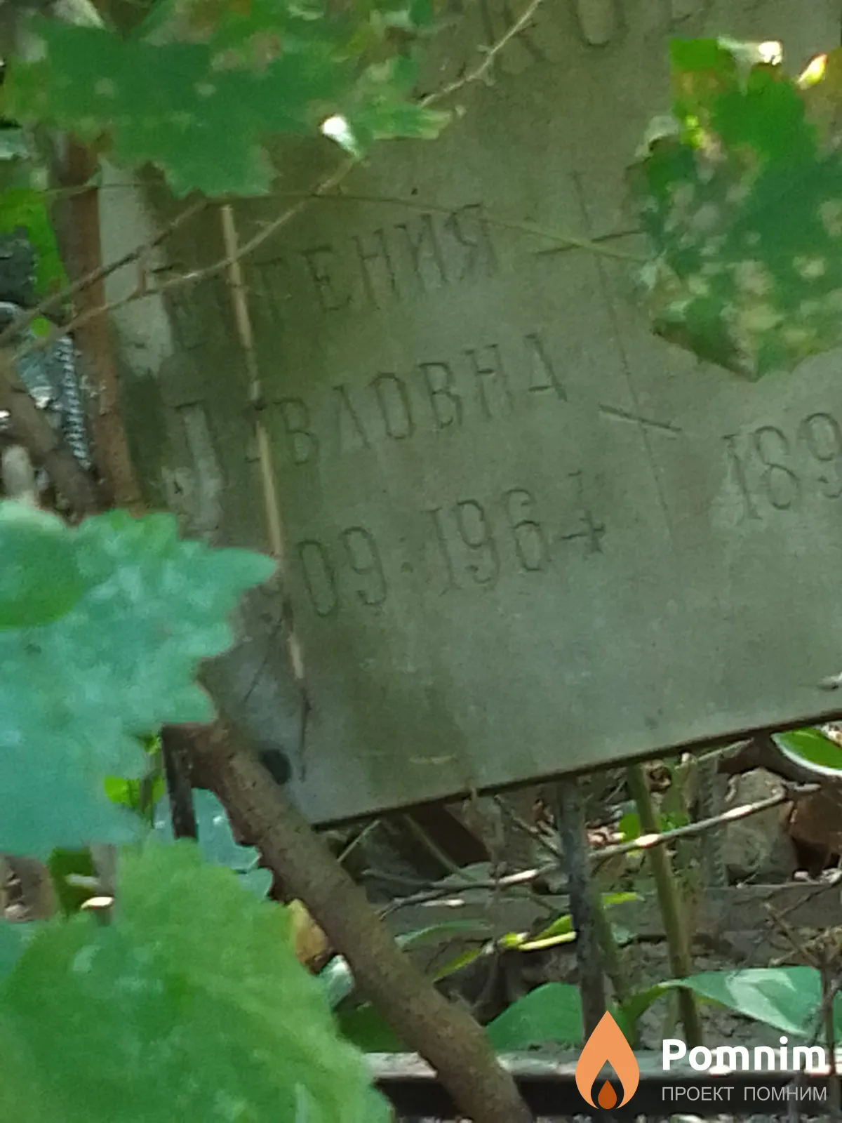 Греков Евгения Павловна
