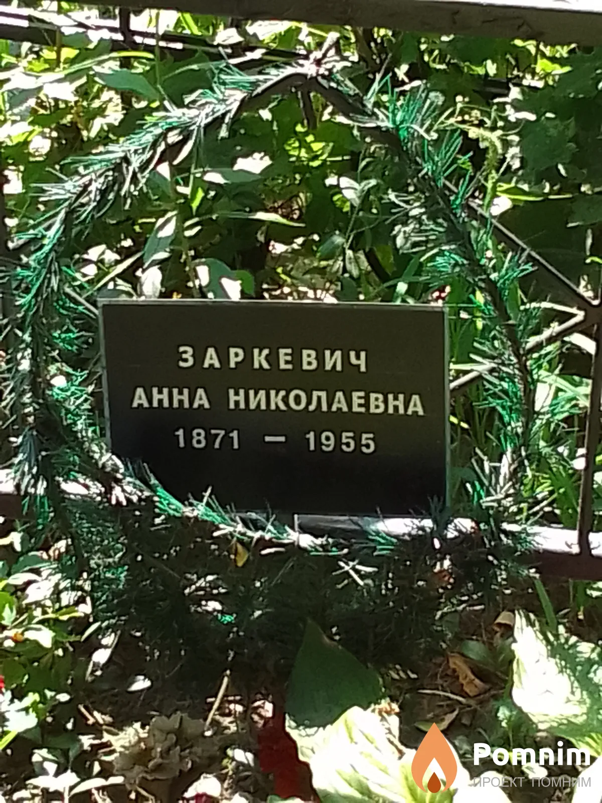 Заркевич Анна Николаевна
