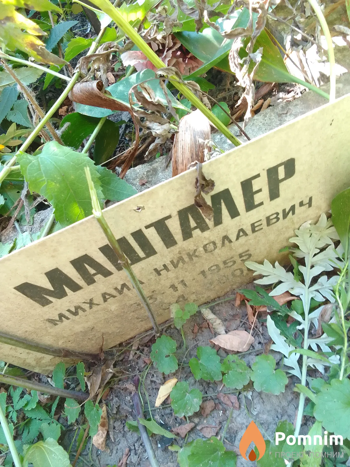 Маштамер Михаил Николаевич