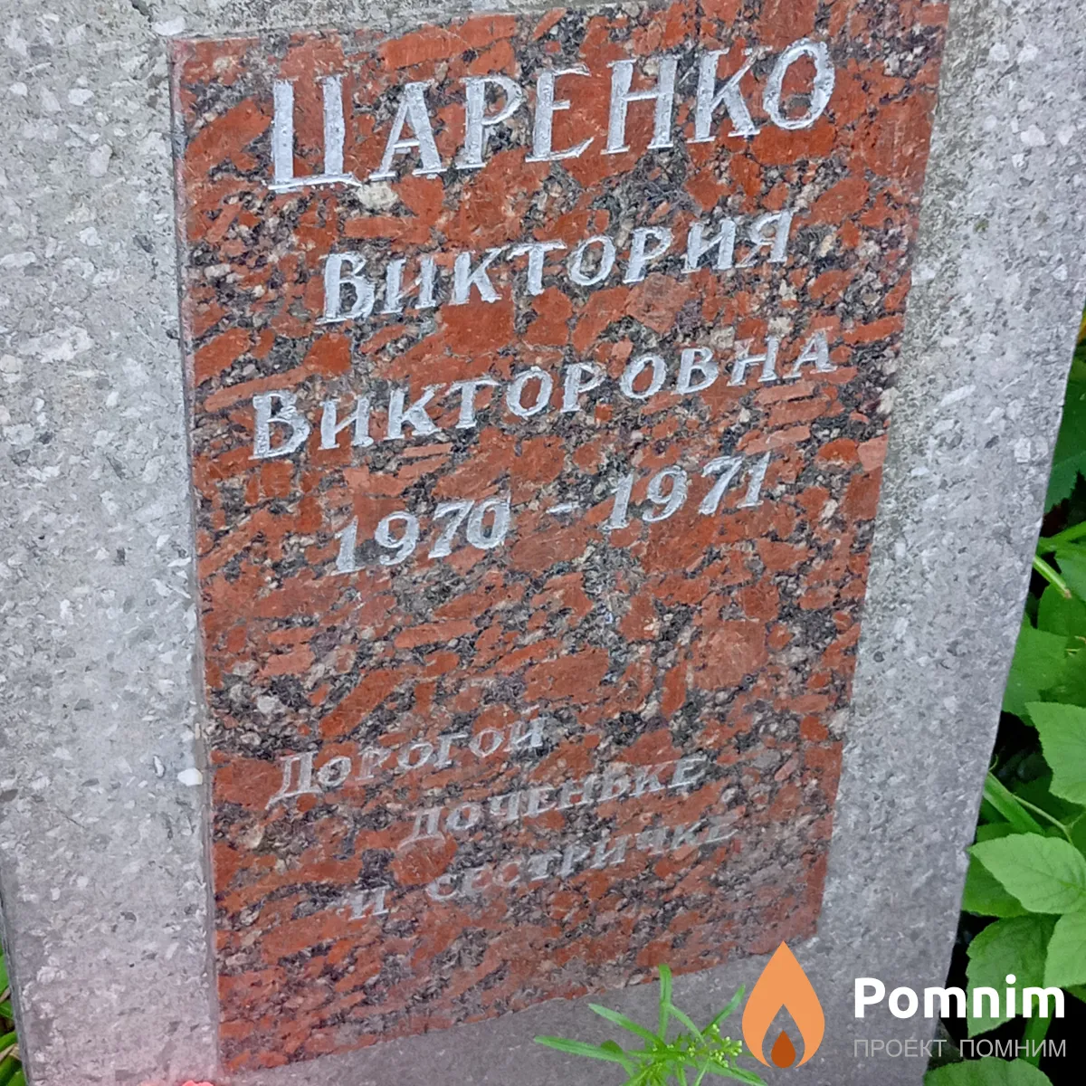 Царенко Виктория Викторовна
