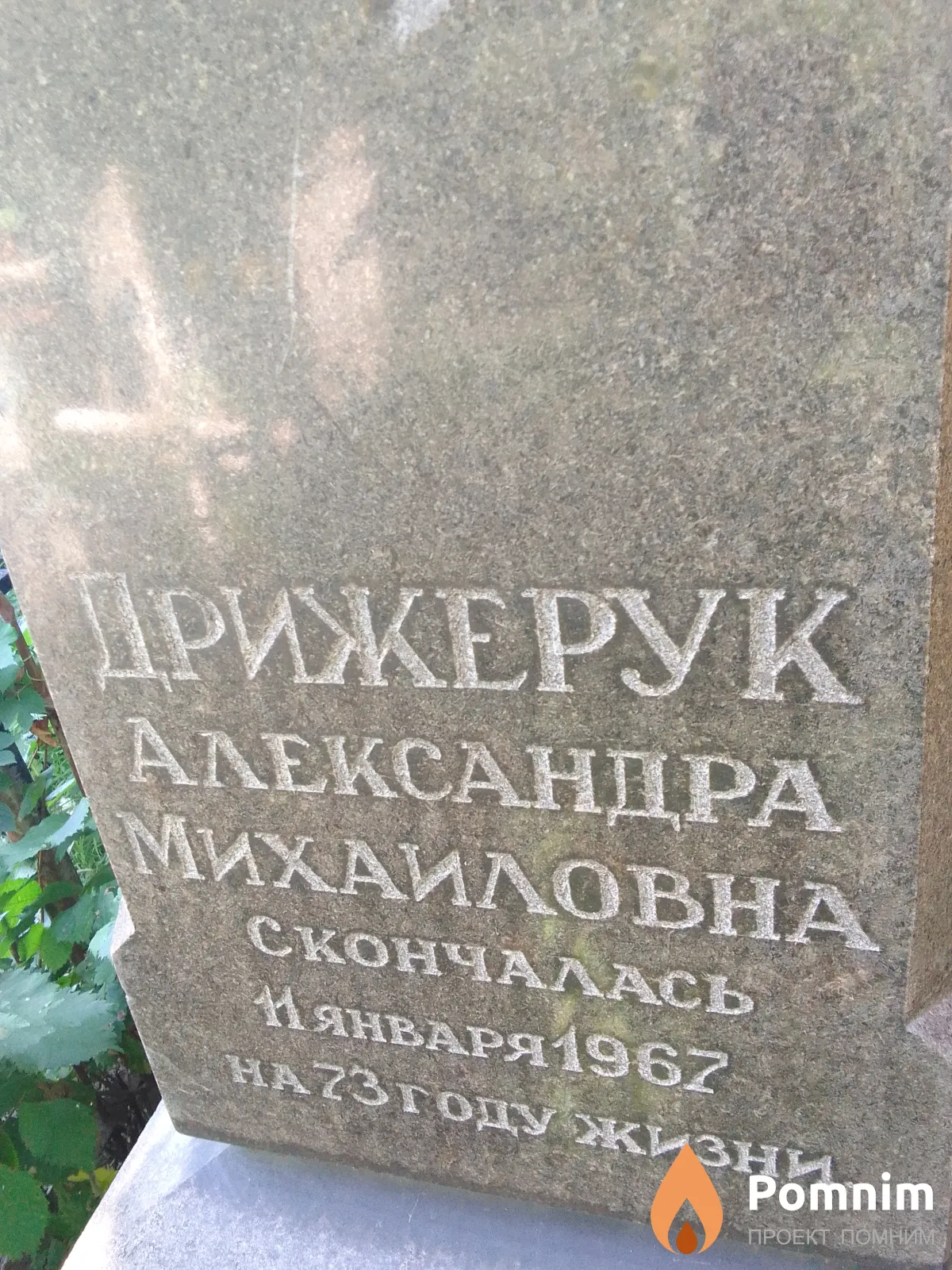 Дрижерук Александра Михаиловна