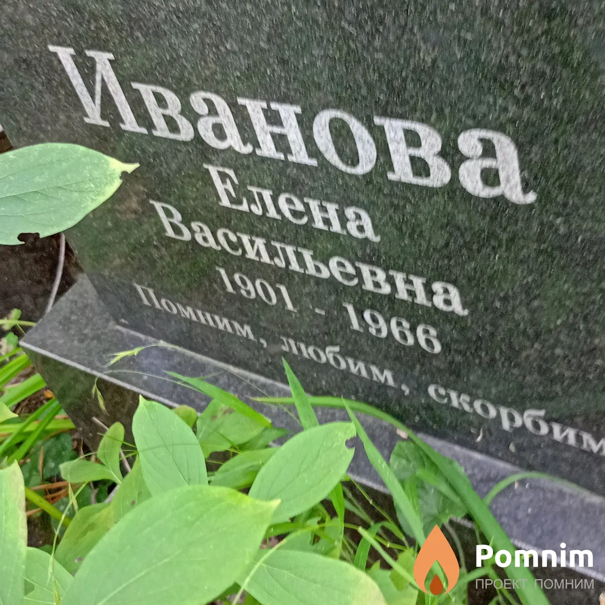 Иванова Елена Васильевна