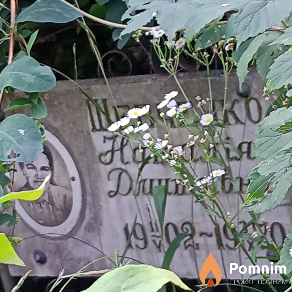 Шевченко Наталия Дмитриевна