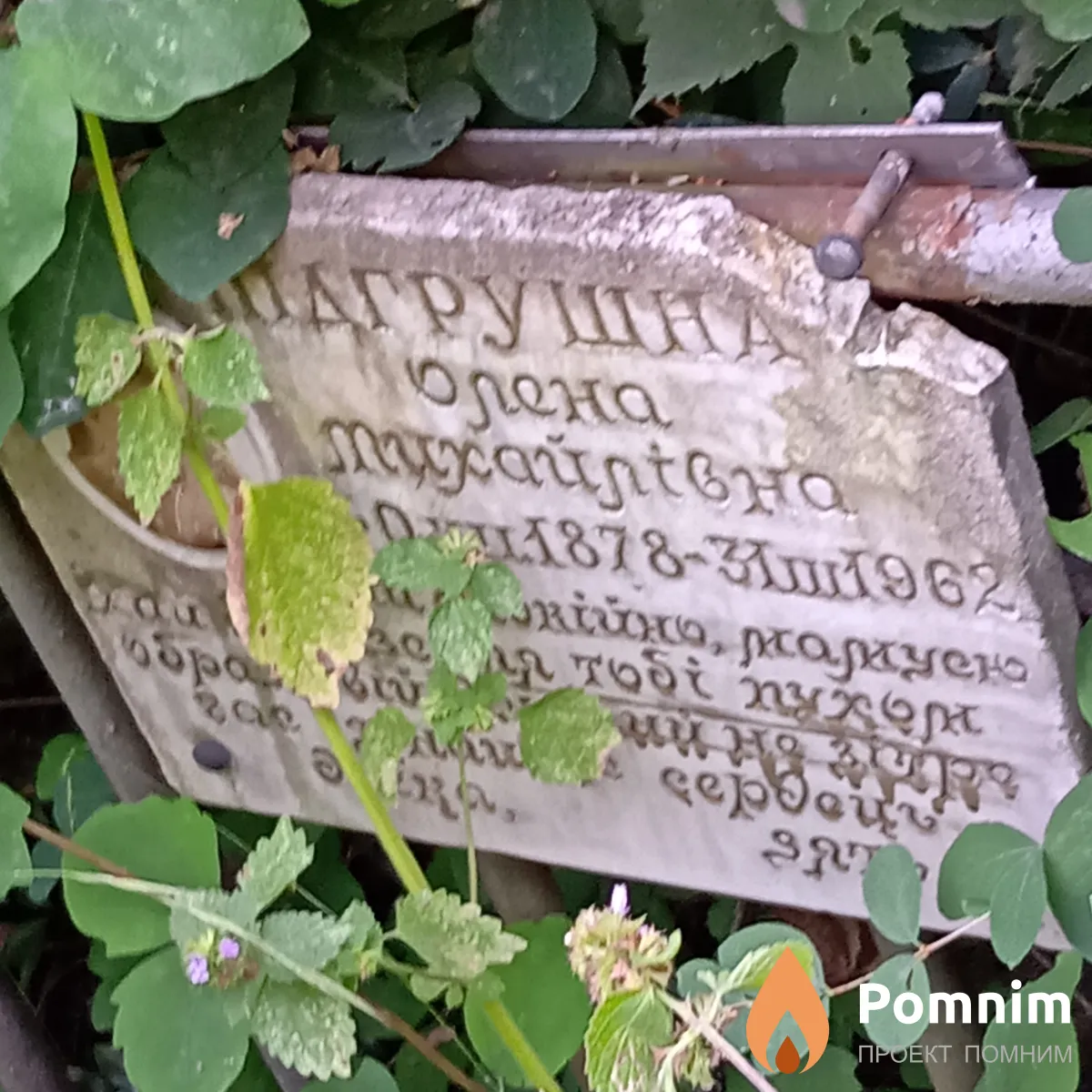 Пидгрушная Елена Михайловна
