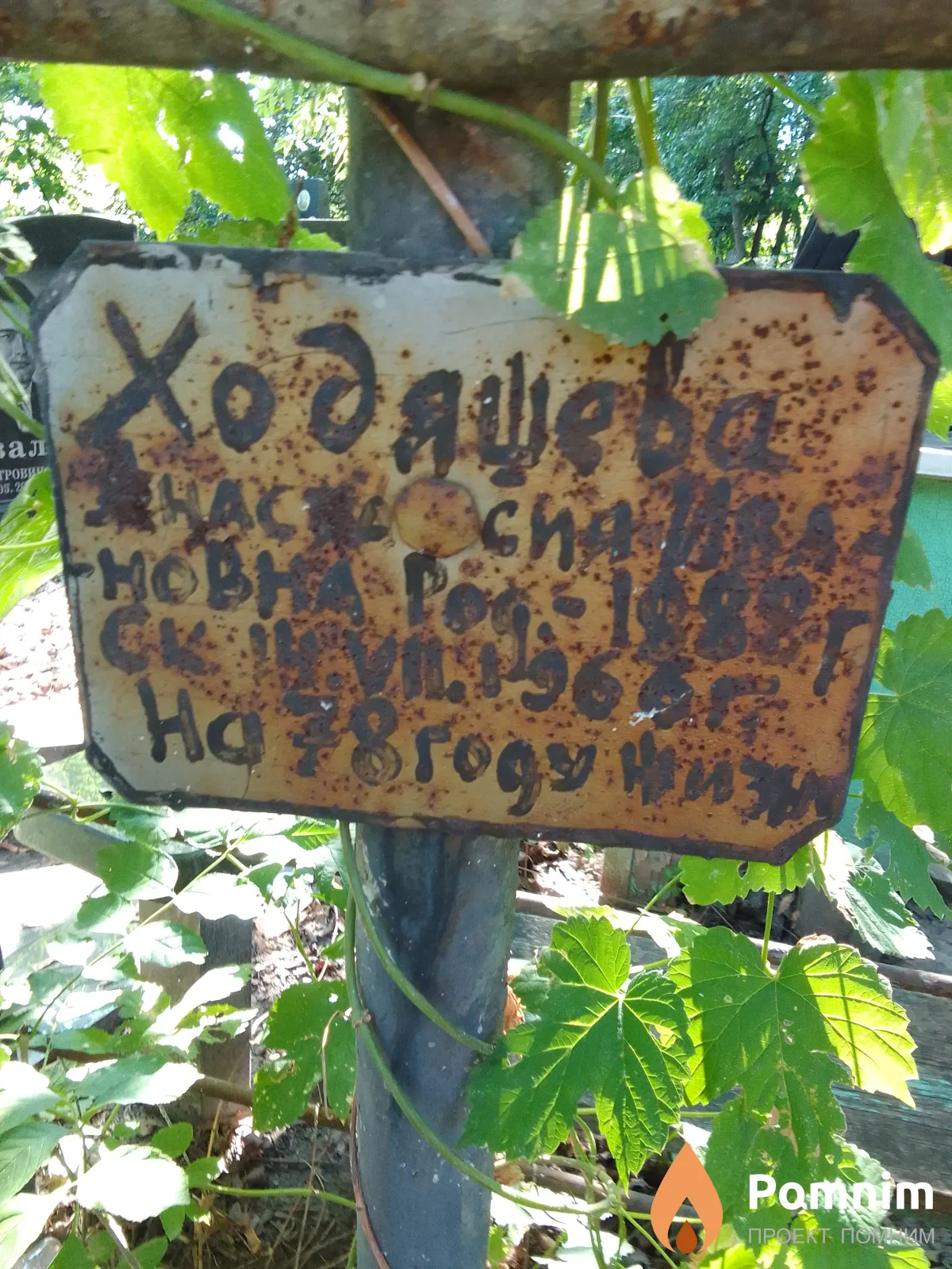 Ходящева Анастасия Ивановна